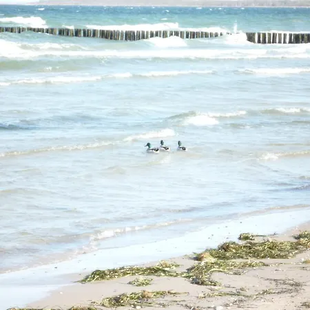 Appartement Arosa Ostseetraum Boltenhagen (Ostseebad)