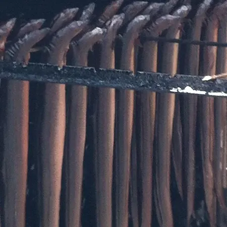 Appartement Arosa Ostseetraum *