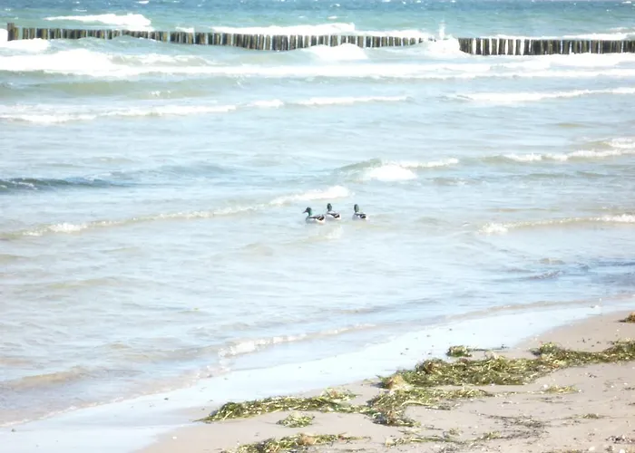 Apartman Arosa Ostseetraum Boltenhagen